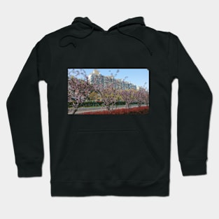 Walking street with flower trees Hoodie